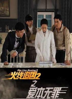 火线追凶2之爱本无罪,火线追凶2中的情感纠葛与正义较量