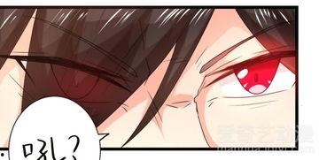 玄妻驾到，老公快接住,一场跨越时空的浪漫邂逅