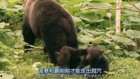 崇高之上,探寻崇高之上的精神境界