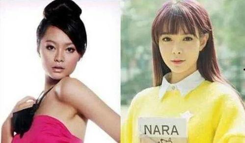 我的妹妹是大明星,揭秘我妹妹的大明星之路