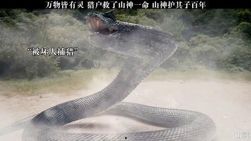 发丘天官：昆仑墟,发丘天官与昆仑墟的奇幻之旅