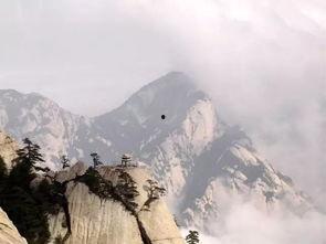 父如山岳,承载成长的力量