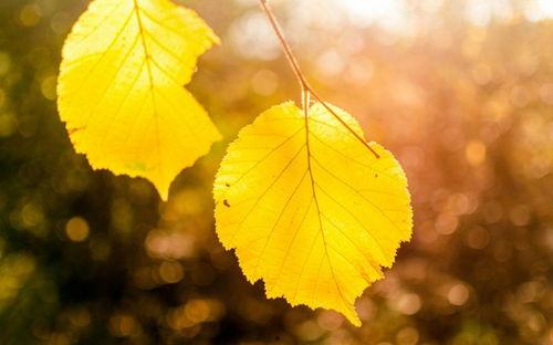 失落风尘,探寻尘世间的沧桑与美好