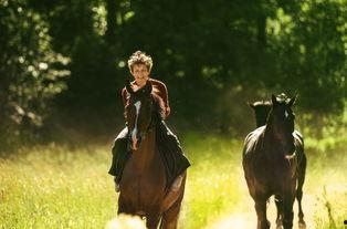 失落风尘,探寻尘世间的沧桑与美好