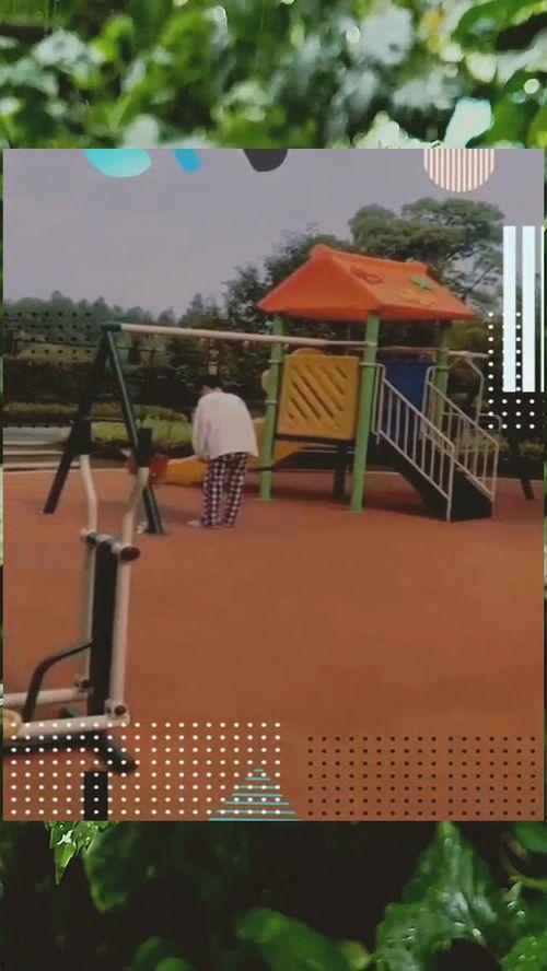 小狗抓蝴蝶,童趣盎然的欢乐瞬间