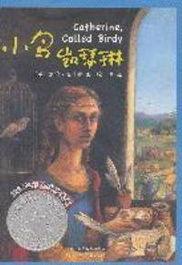 小鸟凯瑟琳,翱翔在梦想天空的青春传奇