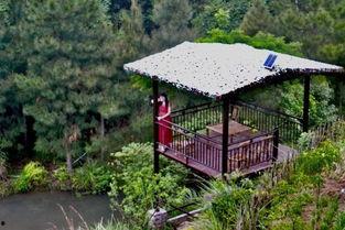 芦花寨,探寻江南水乡的宁静与诗意