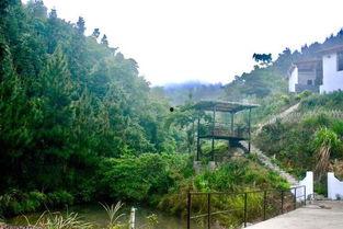 芦花寨,探寻江南水乡的宁静与诗意