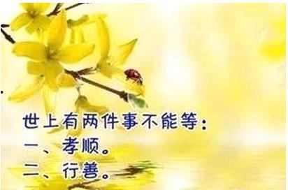 被休回家后她却好运连连,她如何好运连连逆袭人生